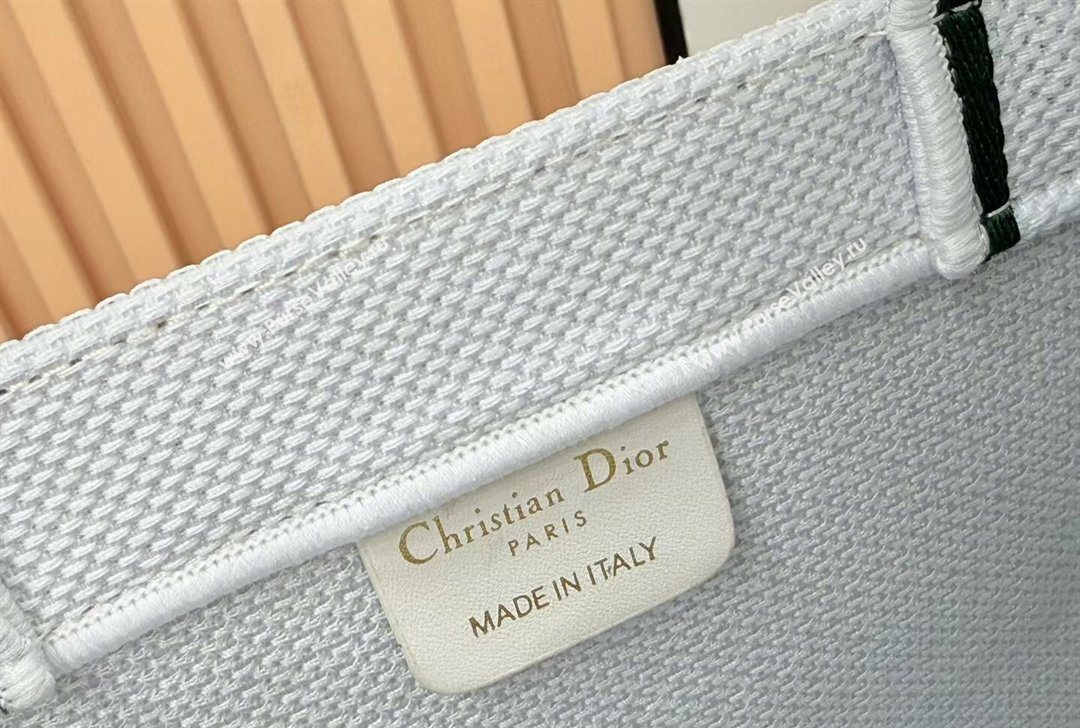 Dior Small Book Tote Bag in White Book Cover Embroidery 2026 8833 (BF-260127036)