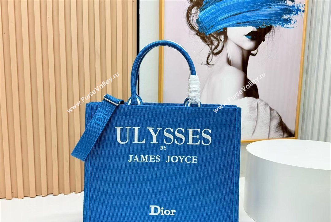 Dior Large Book Tote Bag in Blue and White Book Cover Embroidery 2026 8834 (BF-260127046)