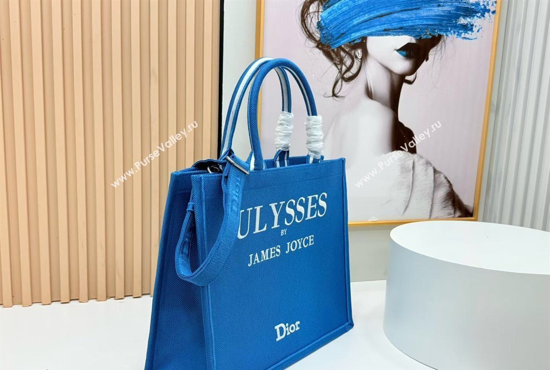 Dior Large Book Tote Bag in Blue and White Book Cover Embroidery 2026 8834 (BF-260127046)