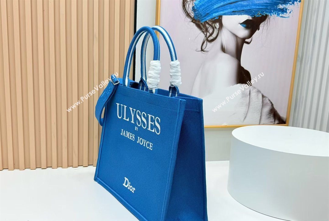 Dior Large Book Tote Bag in Blue and White Book Cover Embroidery 2026 8834 (BF-260127046)