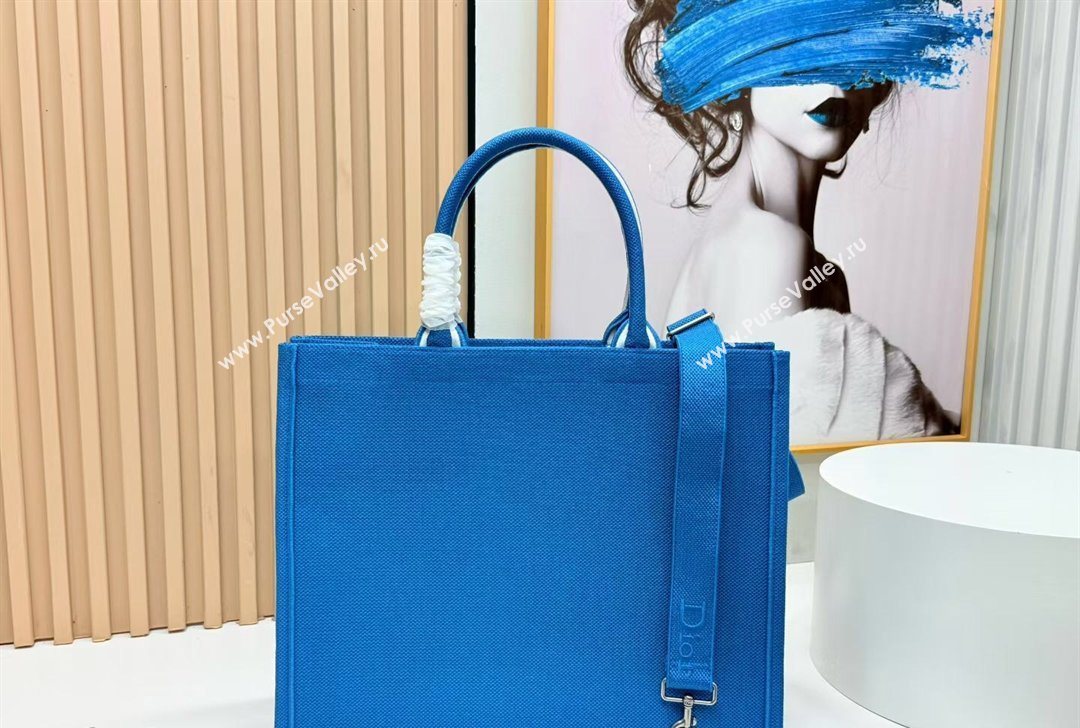 Dior Large Book Tote Bag in Blue and White Book Cover Embroidery 2026 8834 (BF-260127046)