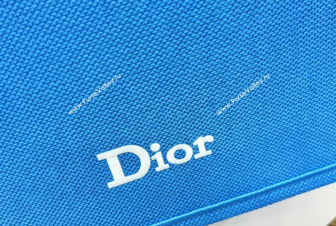 Dior Large Book Tote Bag in Blue and White Book Cover Embroidery 2026 8834 (BF-260127046)