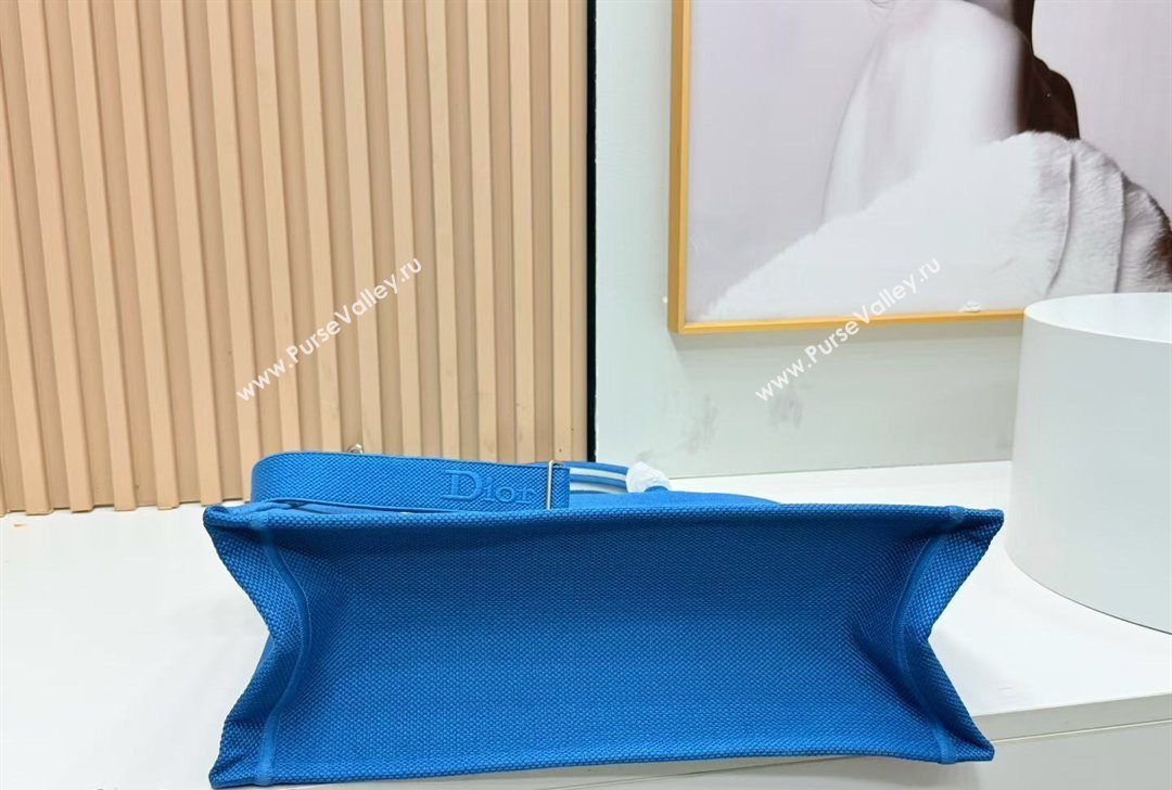 Dior Large Book Tote Bag in Blue and White Book Cover Embroidery 2026 8834 (BF-260127046)