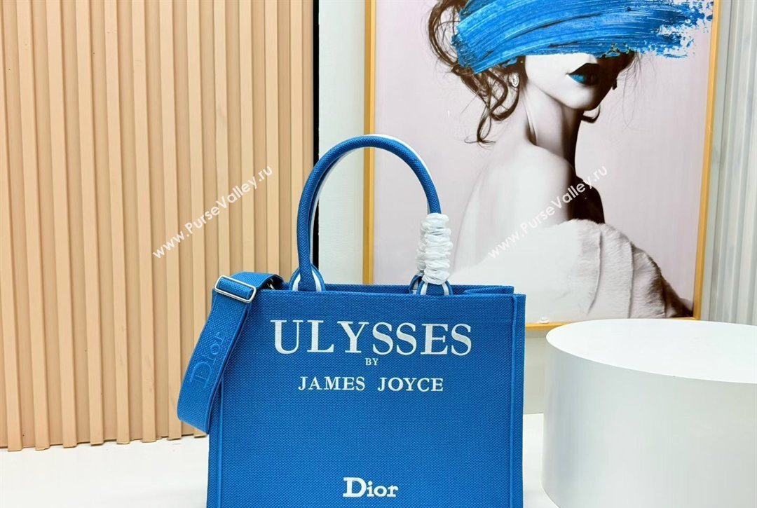 Dior Medium Book Tote Bag in Blue and White Book Cover Embroidery 2026 8834 (BF-260127047)