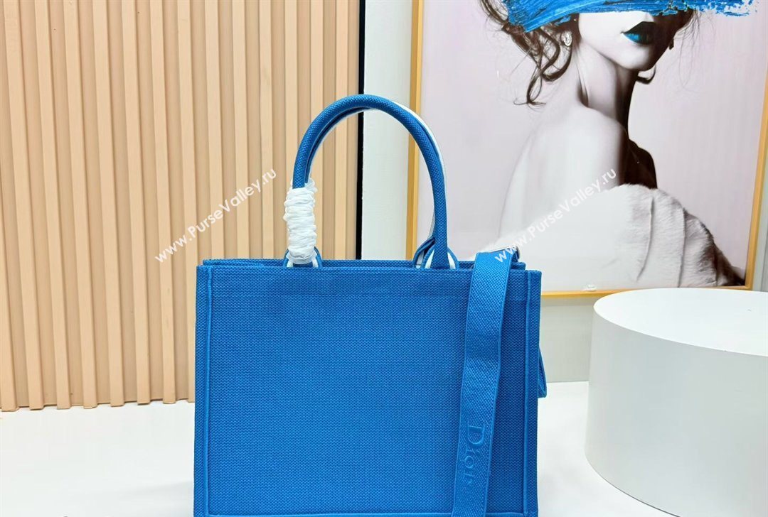 Dior Medium Book Tote Bag in Blue and White Book Cover Embroidery 2026 8834 (BF-260127047)