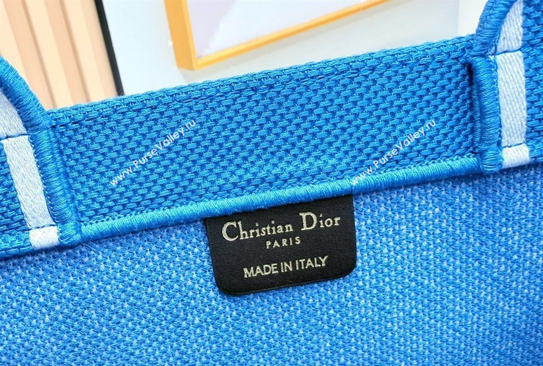 Dior Medium Book Tote Bag in Blue and White Book Cover Embroidery 2026 8834 (BF-260127047)