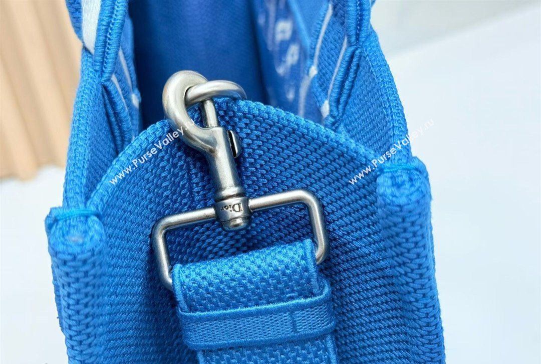 Dior Medium Book Tote Bag in Blue and White Book Cover Embroidery 2026 8834 (BF-260127047)