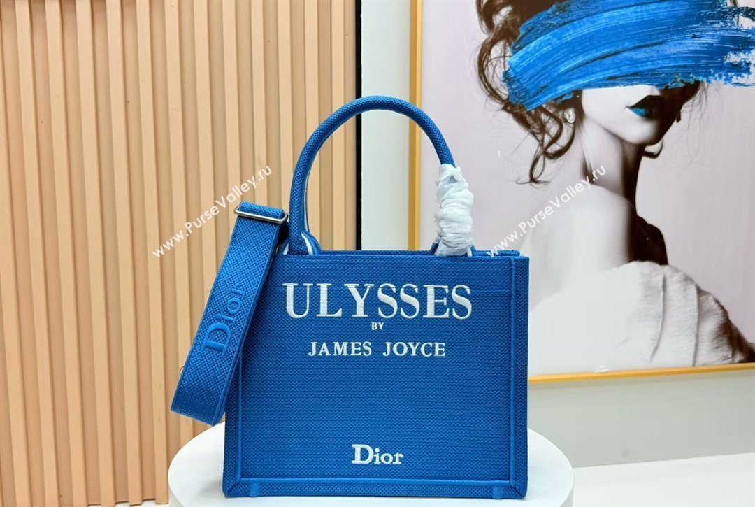 Dior Small Book Tote Bag in Blue and White Book Cover Embroidery 2026 8834 (BF-260127048)