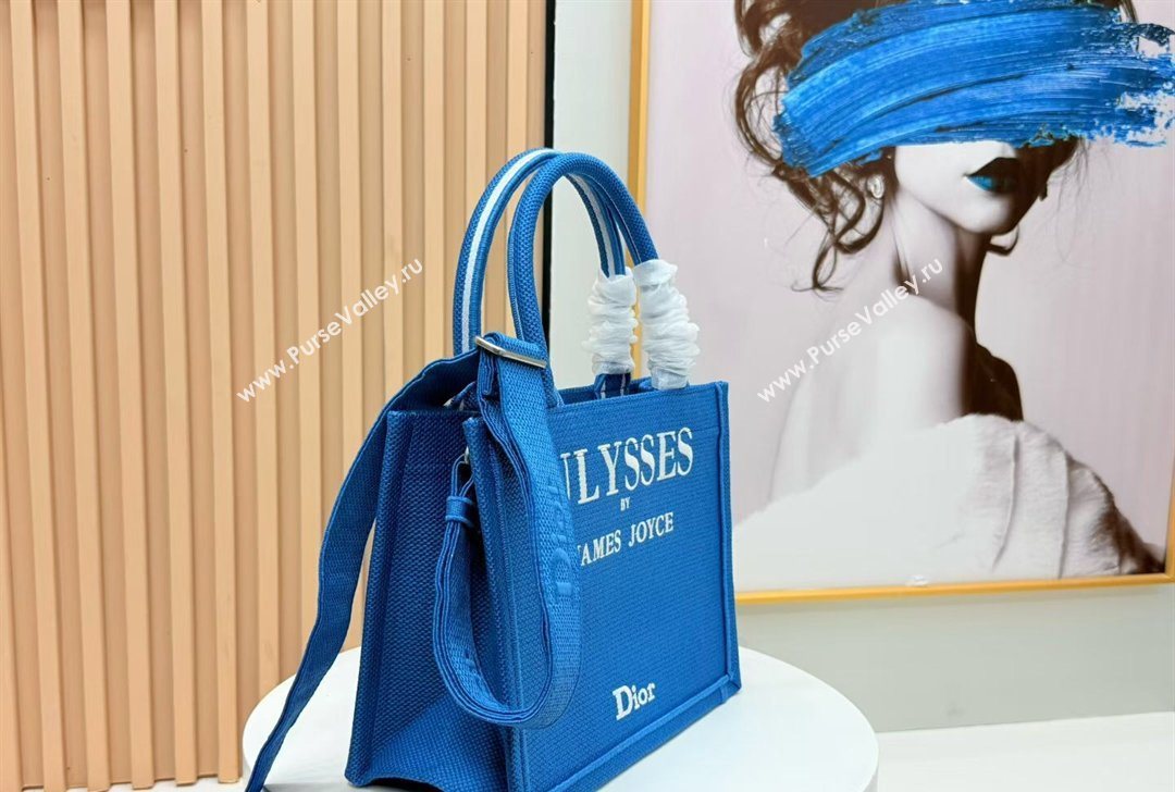 Dior Small Book Tote Bag in Blue and White Book Cover Embroidery 2026 8834 (BF-260127048)