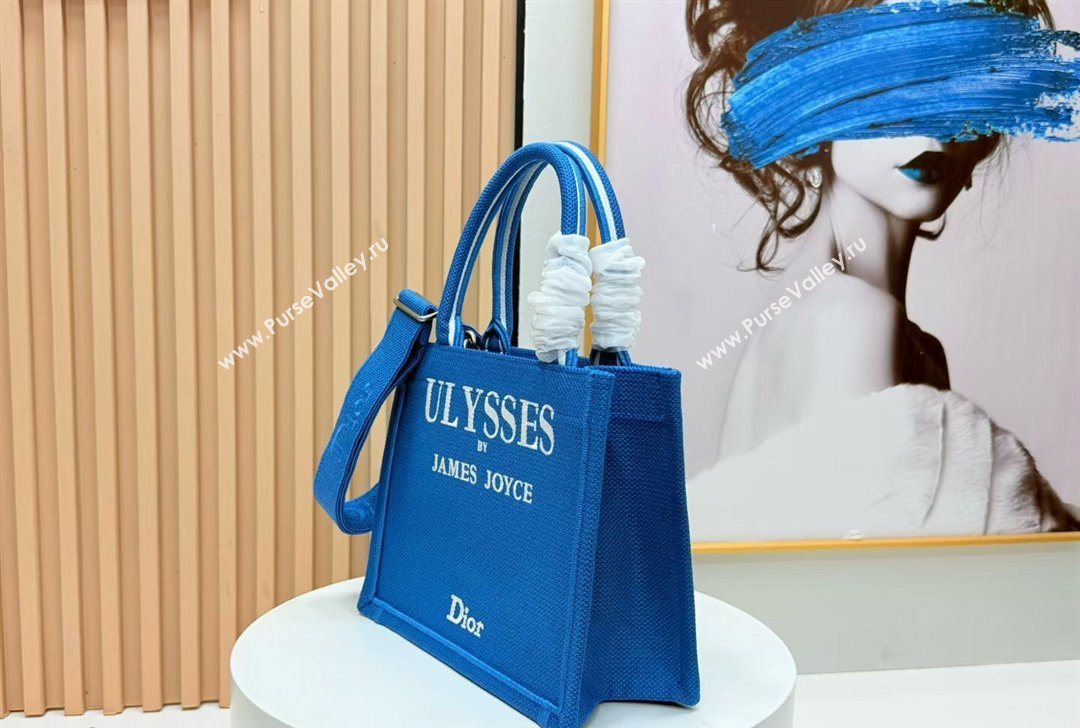 Dior Small Book Tote Bag in Blue and White Book Cover Embroidery 2026 8834 (BF-260127048)