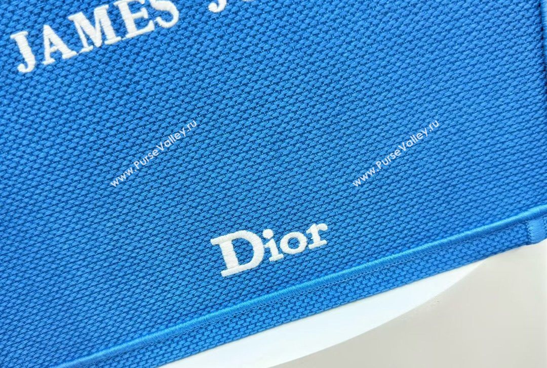 Dior Small Book Tote Bag in Blue and White Book Cover Embroidery 2026 8834 (BF-260127048)