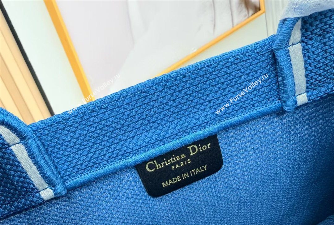 Dior Small Book Tote Bag in Blue and White Book Cover Embroidery 2026 8834 (BF-260127048)