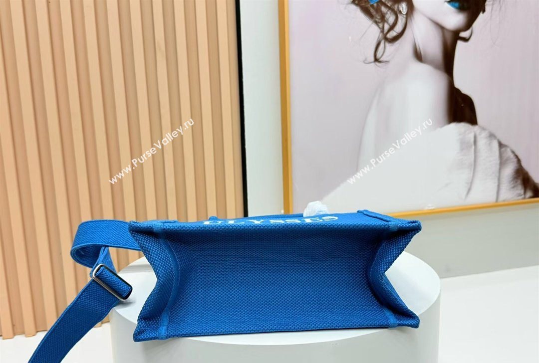 Dior Small Book Tote Bag in Blue and White Book Cover Embroidery 2026 8834 (BF-260127048)