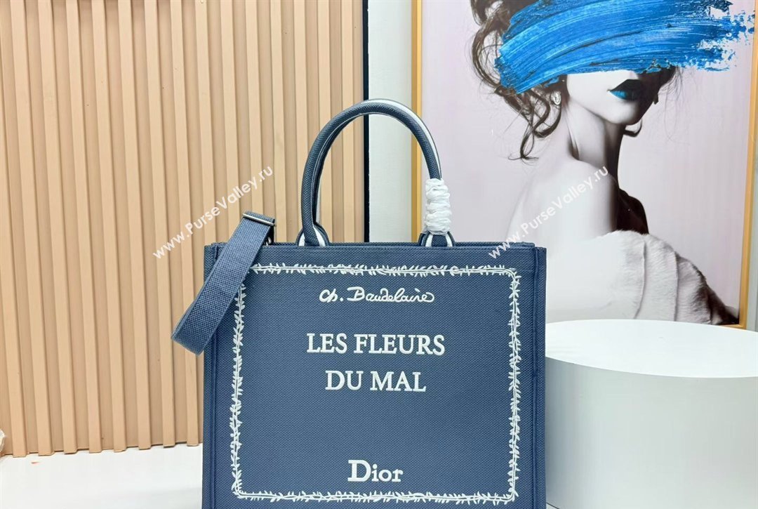 Dior Large Book Tote Bag in Grey and White Book Cover Embroidery 2026 8834 (BF-260127049)
