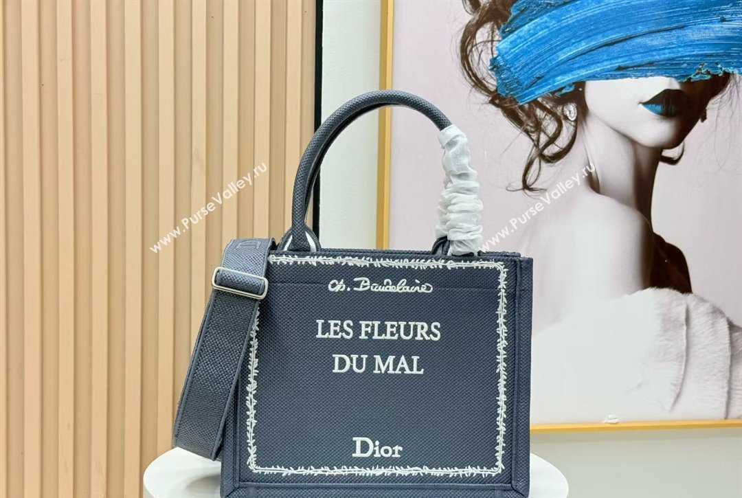 Dior Small Book Tote Bag in Grey and White Book Cover Embroidery 2026 8834 (BF-260127051)