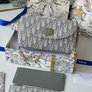 Dior 30 Montaigne Pouch with Chain Mini Bag in Oblique Jacquard Grey 2026 S4306 (XXG-260127019)