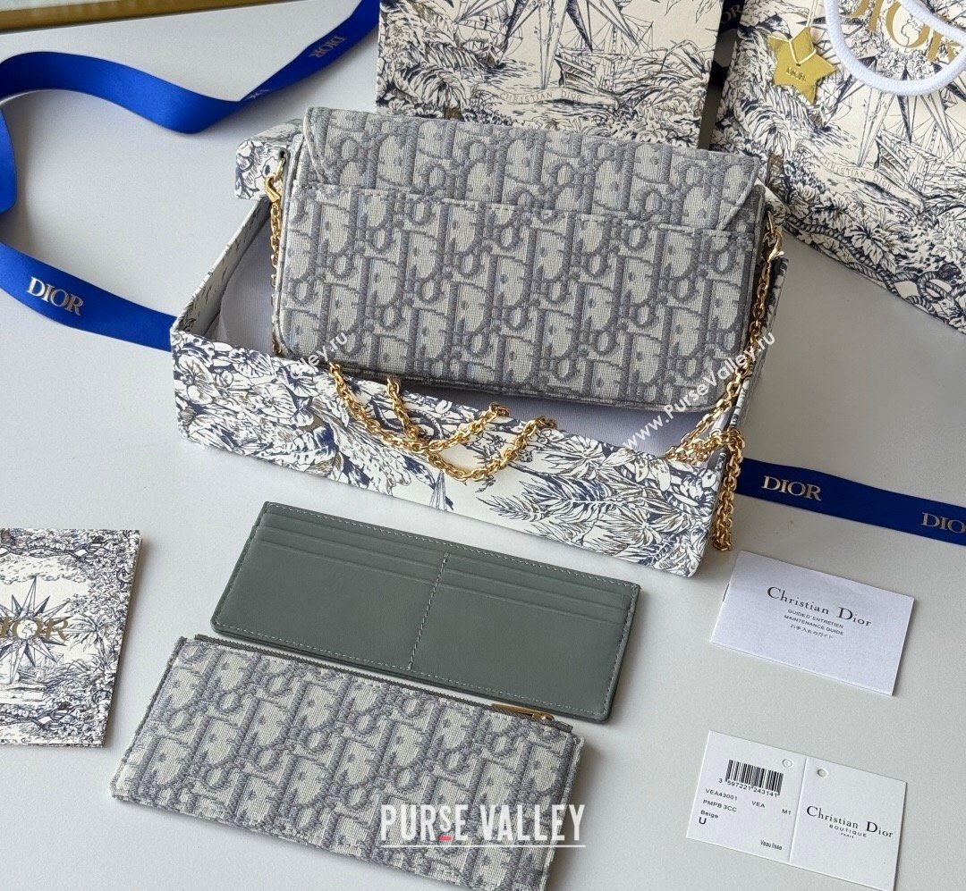 Dior 30 Montaigne Pouch with Chain Mini Bag in Oblique Jacquard Grey 2026 S4306 (XXG-260127019)