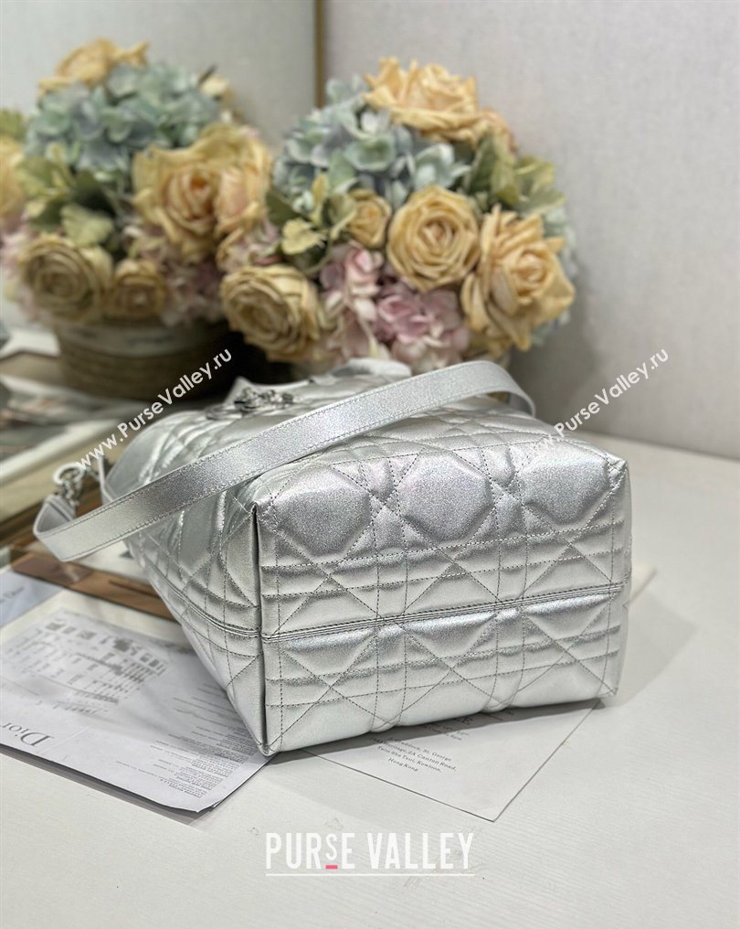 Dior Medium Toujours Vertical Tote Bag in Macrocannage Calfskin Silver-Tone 2026 2836 (XXG-260126092)