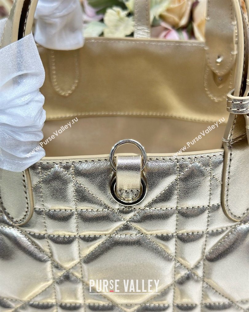 Dior Medium Toujours Tote bag in Macrocannage Calfskin Leather Gold-Tone 2026 (XXG-260126099)