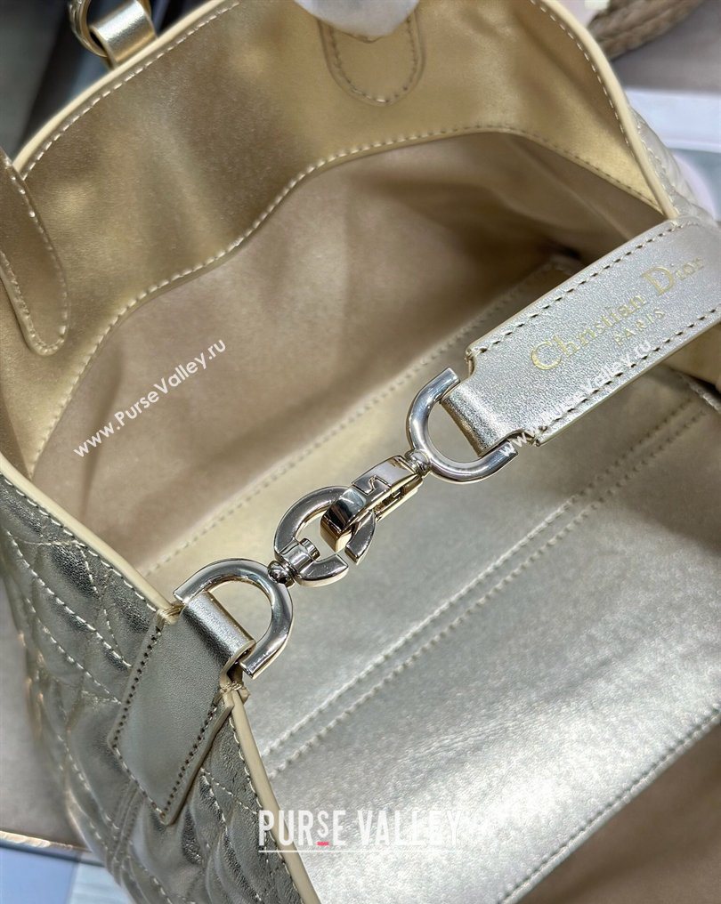 Dior Small Toujours Tote bag in Macrocannage Calfskin Leather Gold-Tone 2026 (XXG-260126101)