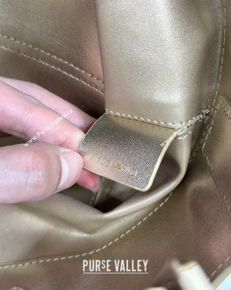 Dior Small Toujours Tote bag in Macrocannage Calfskin Leather Gold-Tone 2026 (XXG-260126101)