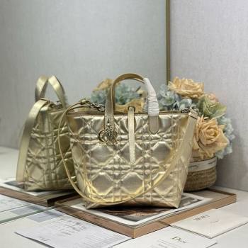 Dior Medium Toujours Vertical Tote Bag in Macrocannage Calfskin Gold-Tone 2026 2836 (XXG-260126093)
