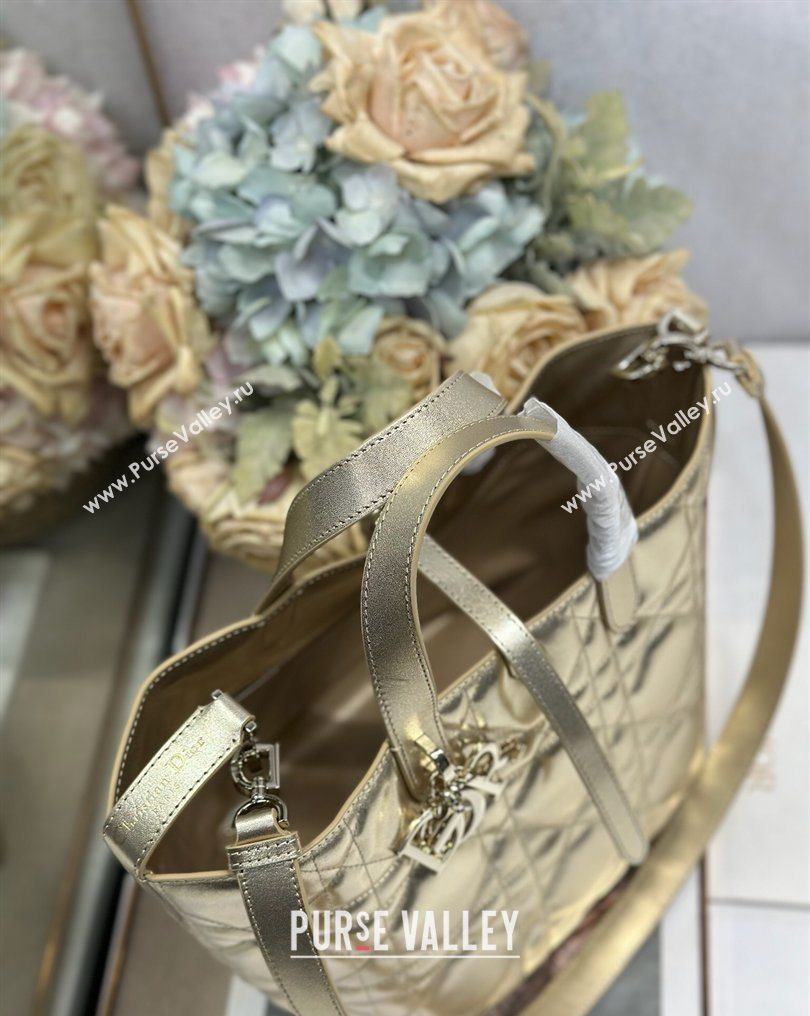 Dior Medium Toujours Vertical Tote Bag in Macrocannage Calfskin Gold-Tone 2026 2836 (XXG-260126093)