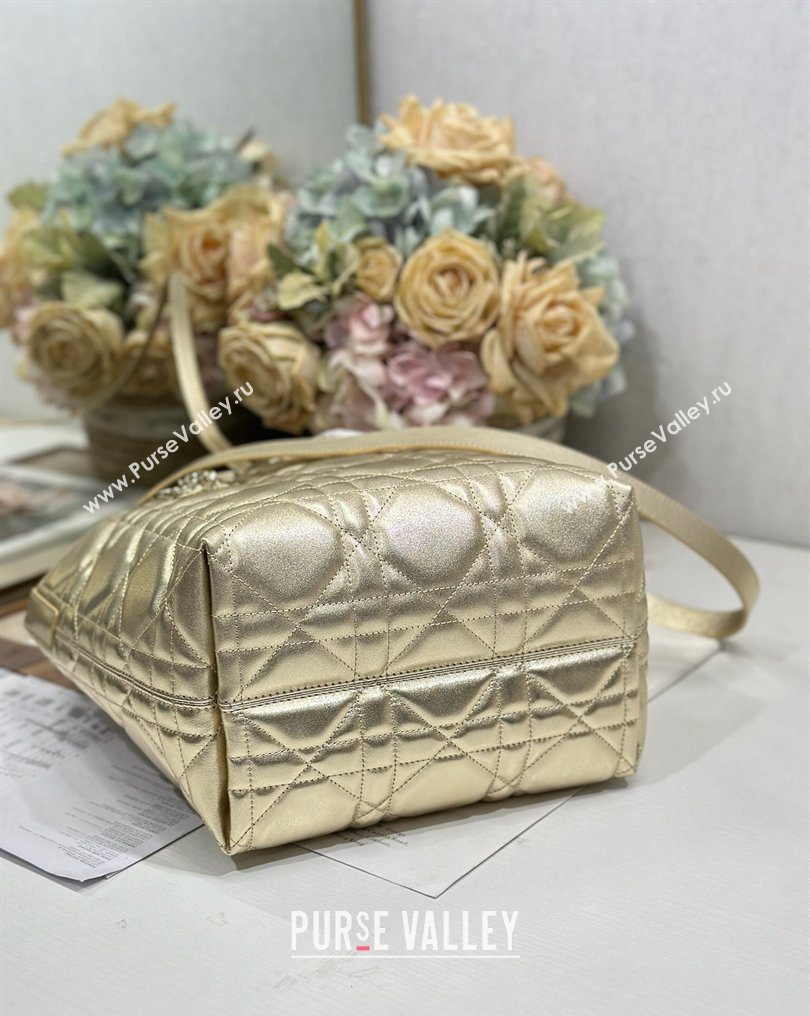 Dior Medium Toujours Vertical Tote Bag in Macrocannage Calfskin Gold-Tone 2026 2836 (XXG-260126093)