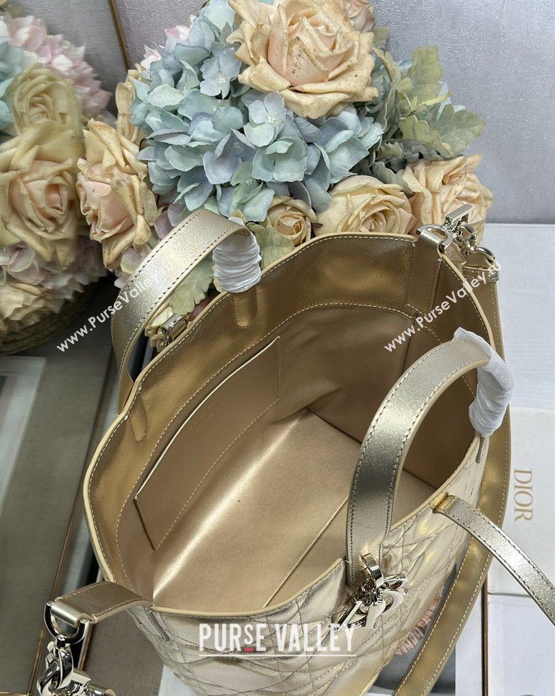 Dior Medium Toujours Vertical Tote Bag in Macrocannage Calfskin Gold-Tone 2026 2836 (XXG-260126093)