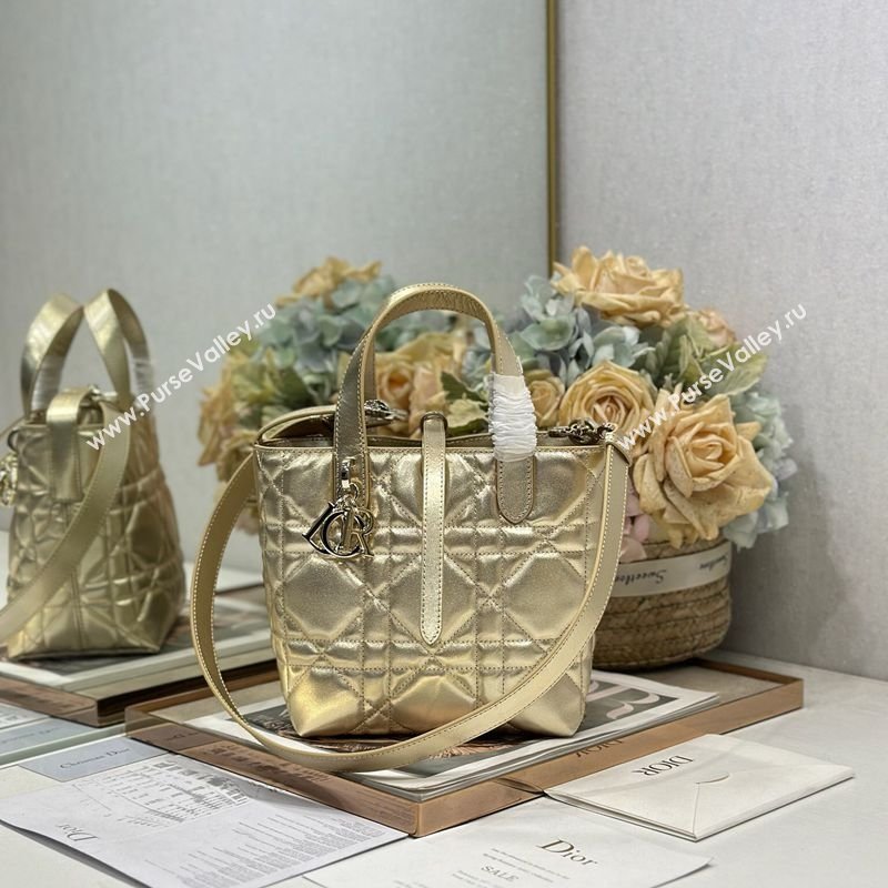 Dior Small Toujours Vertical Tote Bag in Macrocannage Calfskin Gold-Tone 2026 2835 (XXG-260126095)