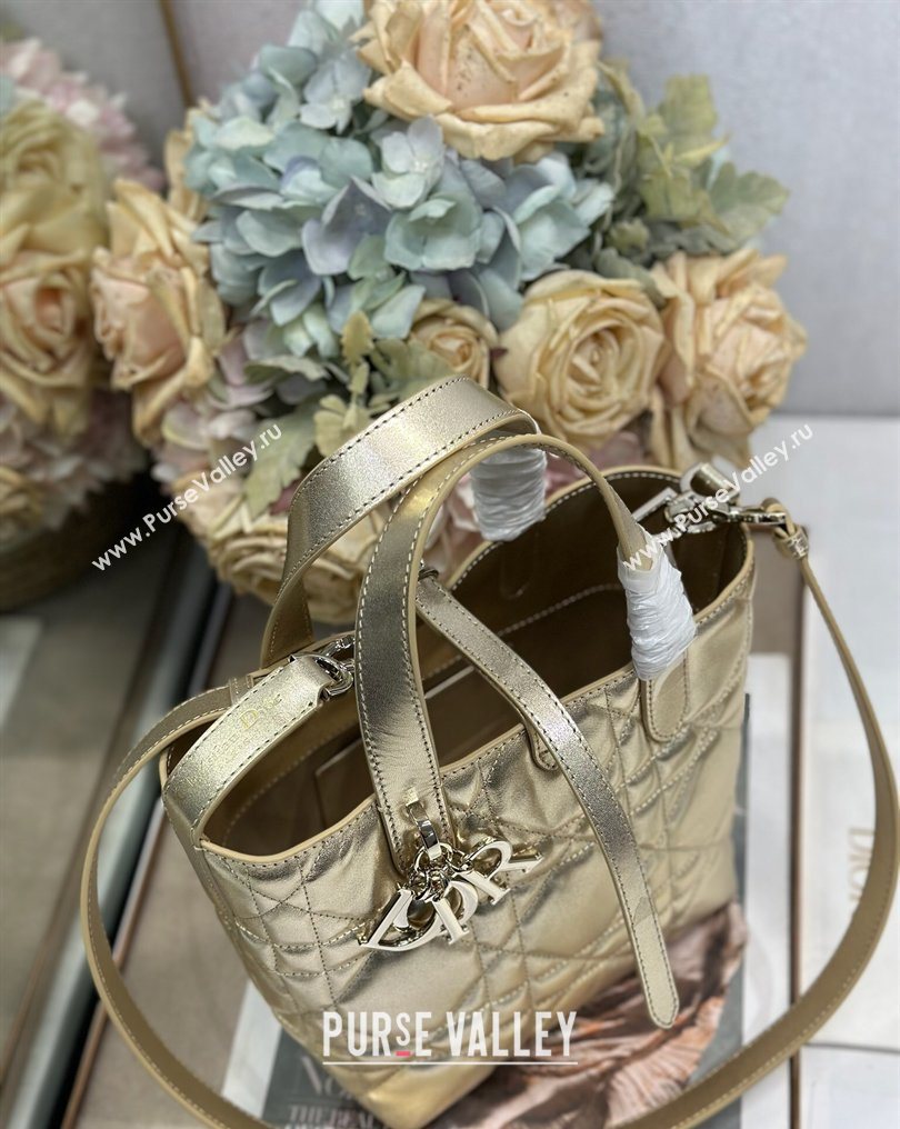 Dior Small Toujours Vertical Tote Bag in Macrocannage Calfskin Gold-Tone 2026 2835 (XXG-260126095)