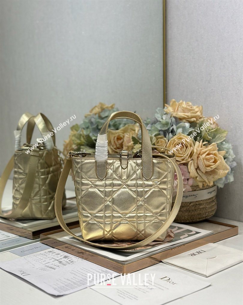 Dior Small Toujours Vertical Tote Bag in Macrocannage Calfskin Gold-Tone 2026 2835 (XXG-260126095)