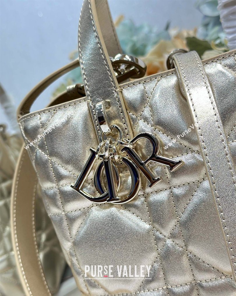 Dior Small Toujours Vertical Tote Bag in Macrocannage Calfskin Gold-Tone 2026 2835 (XXG-260126095)