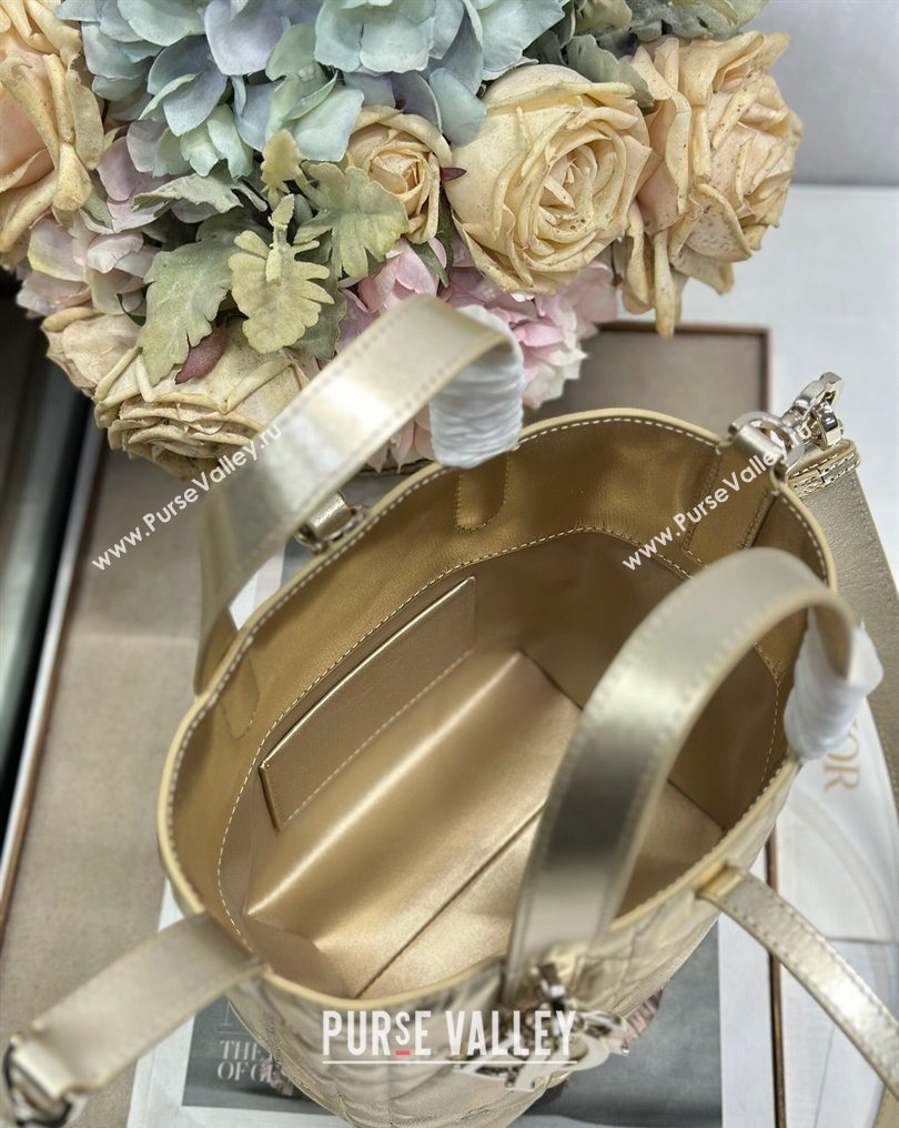 Dior Small Toujours Vertical Tote Bag in Macrocannage Calfskin Gold-Tone 2026 2835 (XXG-260126095)