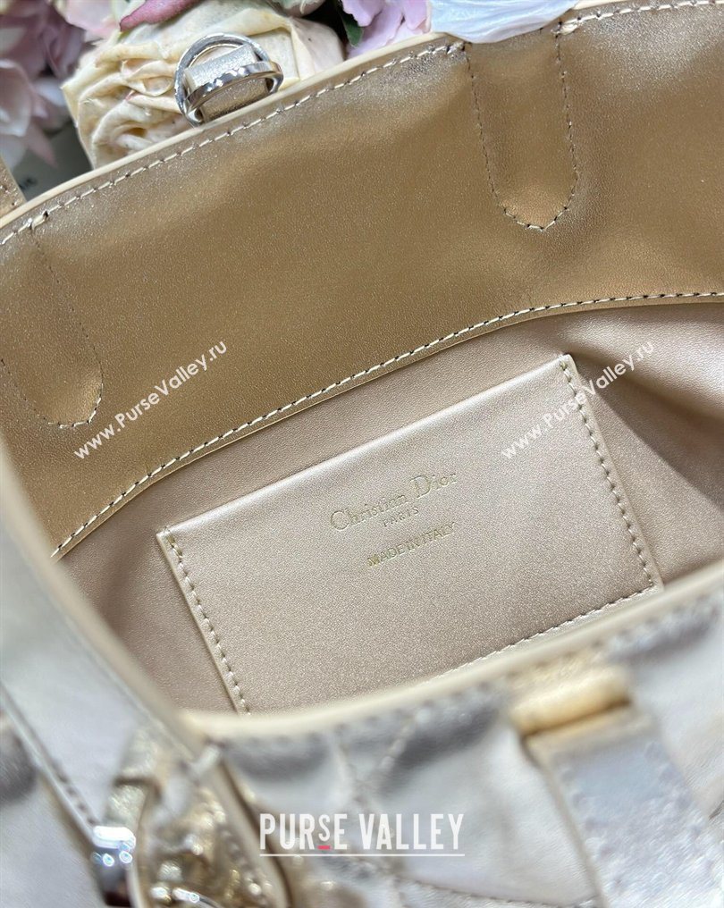 Dior Small Toujours Vertical Tote Bag in Macrocannage Calfskin Gold-Tone 2026 2835 (XXG-260126095)