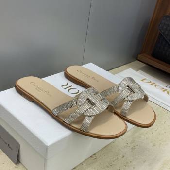 Dior D-Club Flat Slides Sandal in Suede and Strass Beige 2026 (JC-260302087)