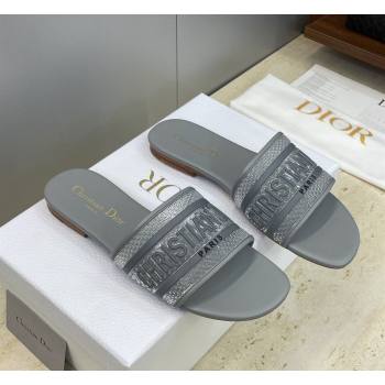 Dior Dway Flat Slides Sandal in Transparent and TPU Grey 2026 (JC-260302090)