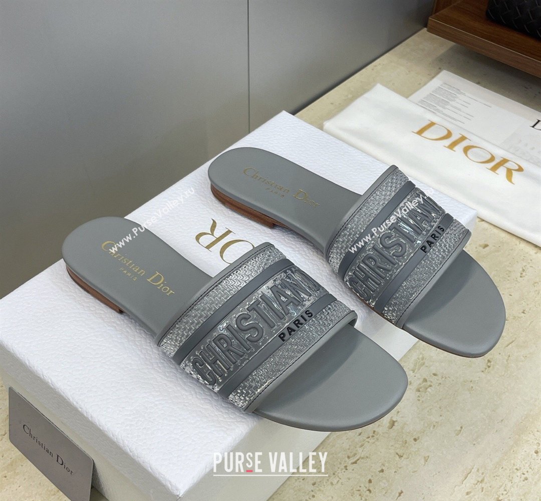 Dior Dway Flat Slides Sandal in Transparent and TPU Grey 2026 (JC-260302090)