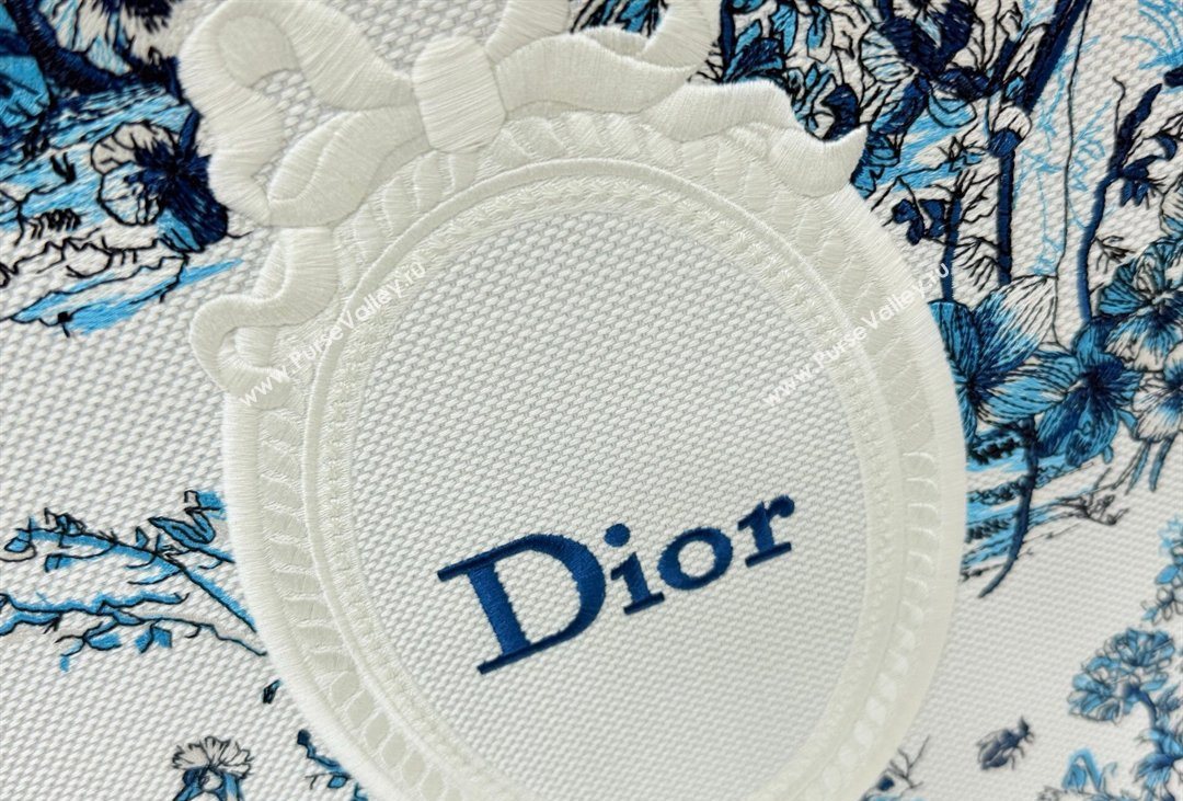 Dior Mens Large Book Tote Bag in Blue Toile de Jouy Floral Garden Embroidery and White Dior Medaillon 2026 8833 (BF-260408128)