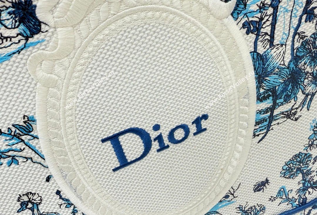 Dior Mens Medium Book Tote Bag in Blue Toile de Jouy Floral Garden Embroidery and White Dior Medaillon 2026 8834 (BF-260408129)