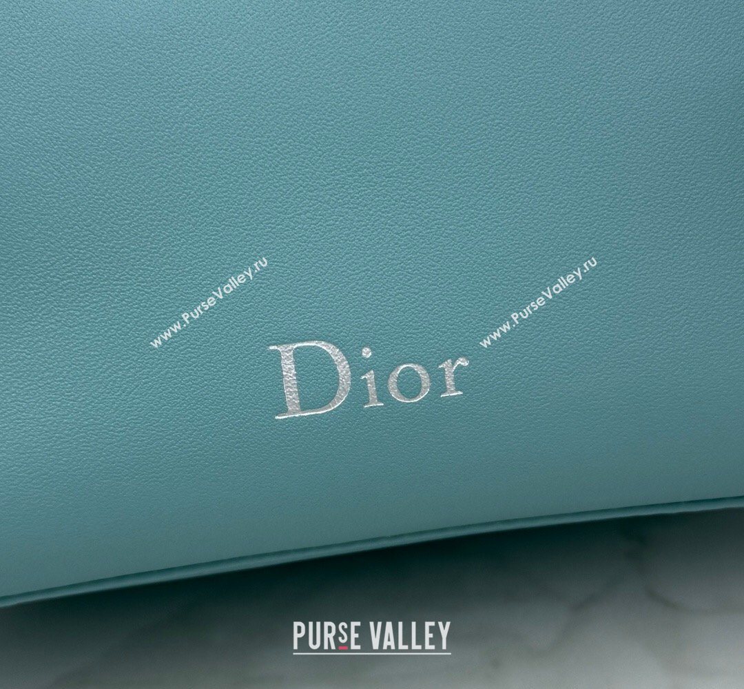 Dior Bow Pouch Bag in Lambskin Leather Green 2026 S3900 (BF-260409007)