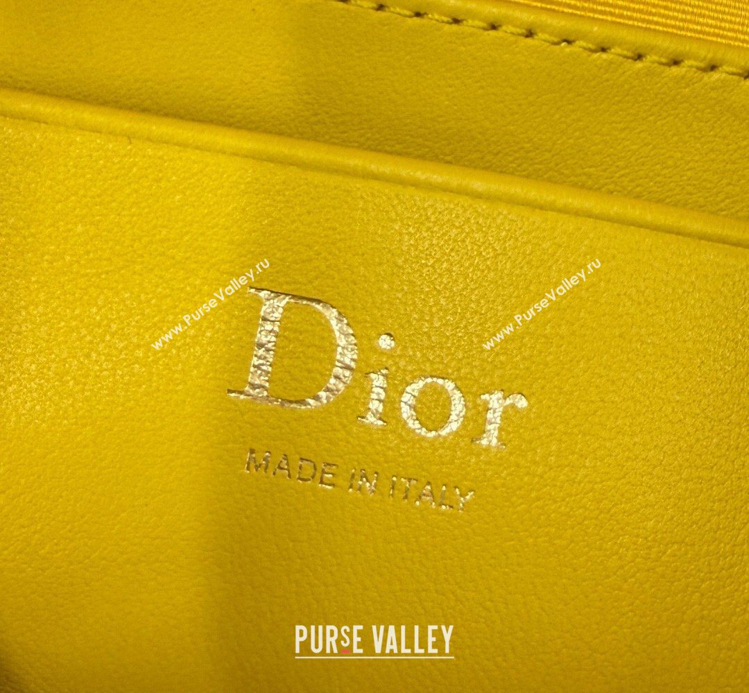 Dior Bow Pouch Bag in Lambskin Leather Yellow 2026 S3900 (BF-260409009)