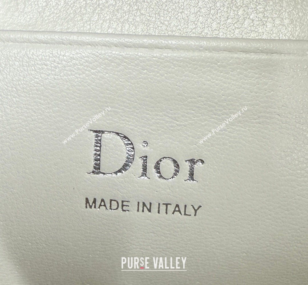 Dior Bow Pouch Bag in Lambskin Leather White 2026 S3900 (BF-260409010)