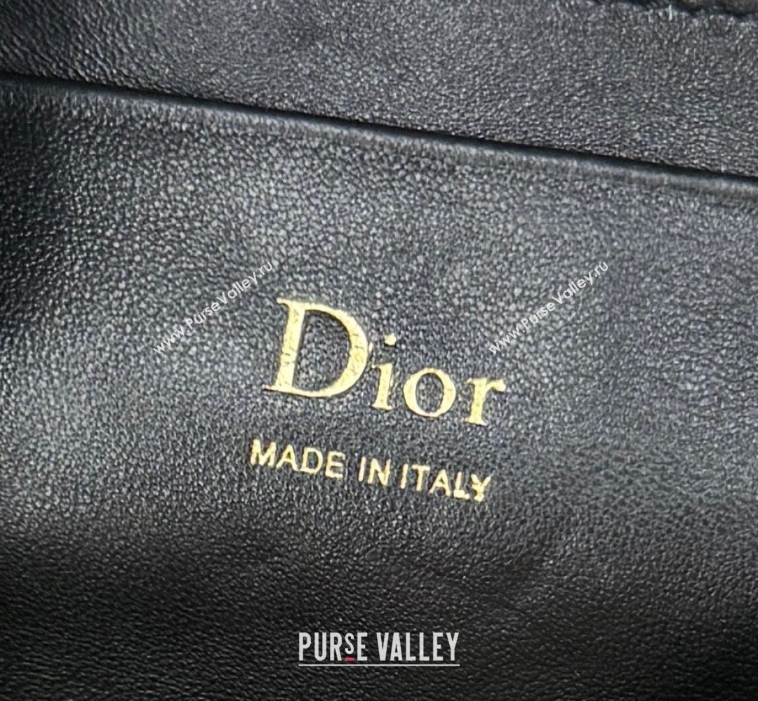 Dior Bow Pouch Bag in Lambskin Leather Black 2026 S3900 (BF-260409011)