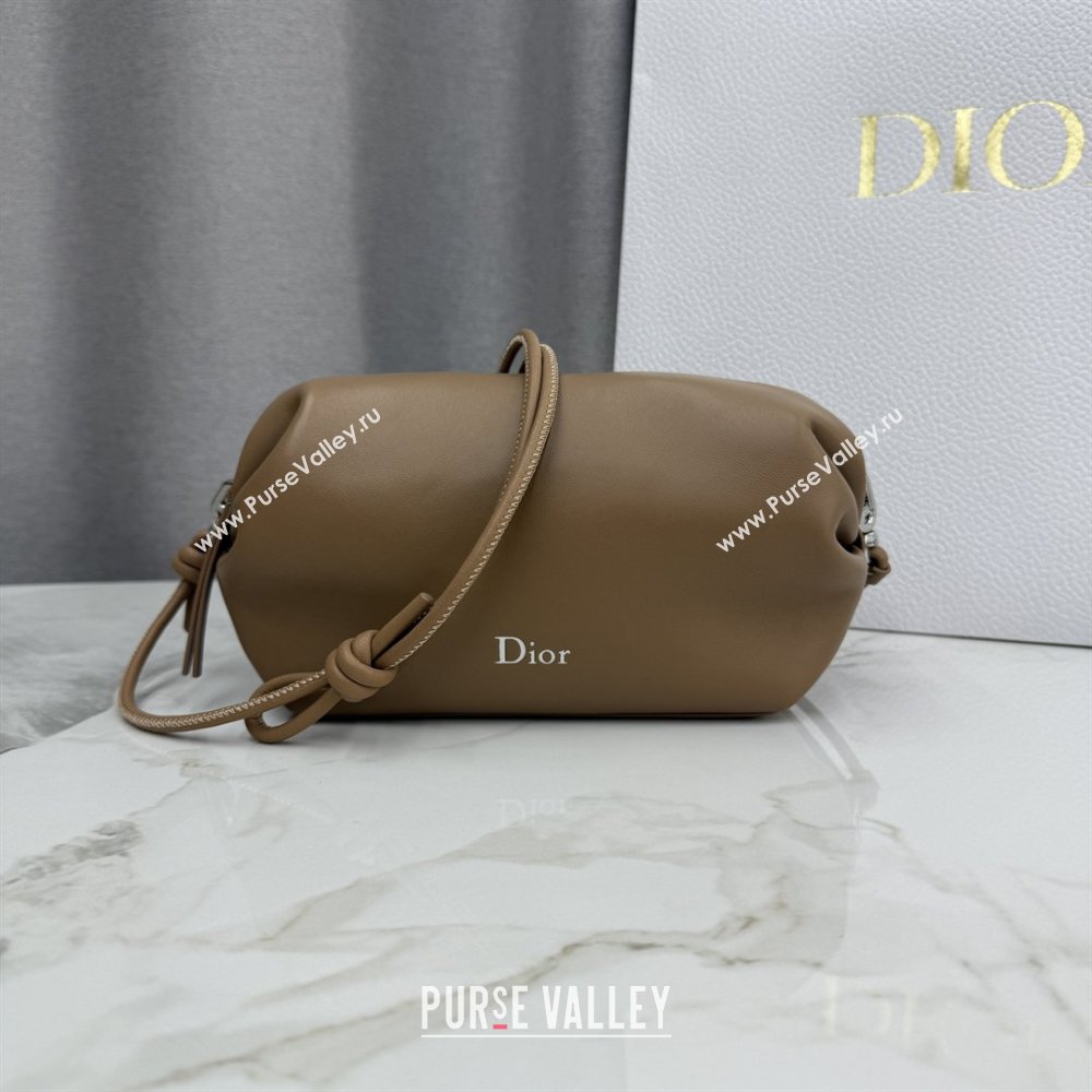 Dior Bow Pouch Bag in Lambskin Leather Brown 2026 S3900 (BF-260409013)