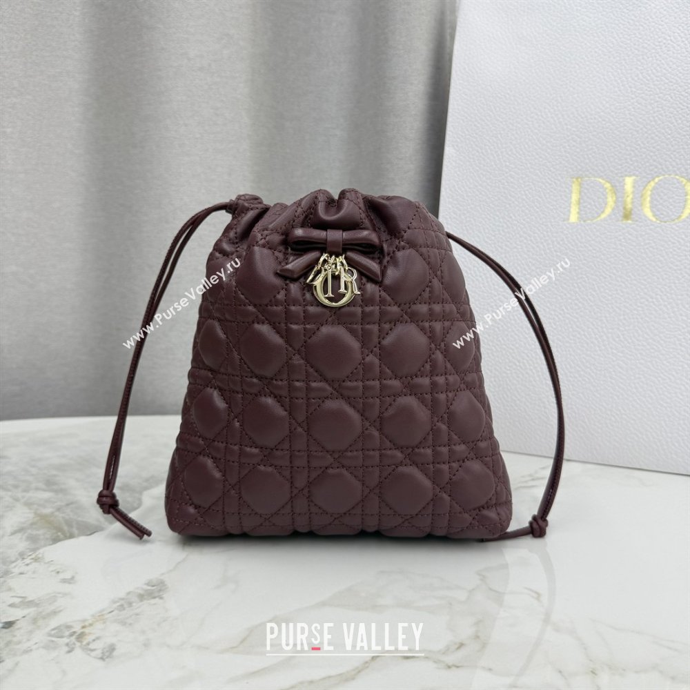 Dior Adiorable Mini Bucket Bag in Cannage Lambskin Burgundy 2026 S2611 (BF-260409068)