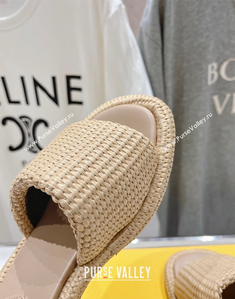 Fendi Baguette Heel Slide Sandals 4.5cm in Woven Fiber Khaki 2024 0702 (MD-240702098)