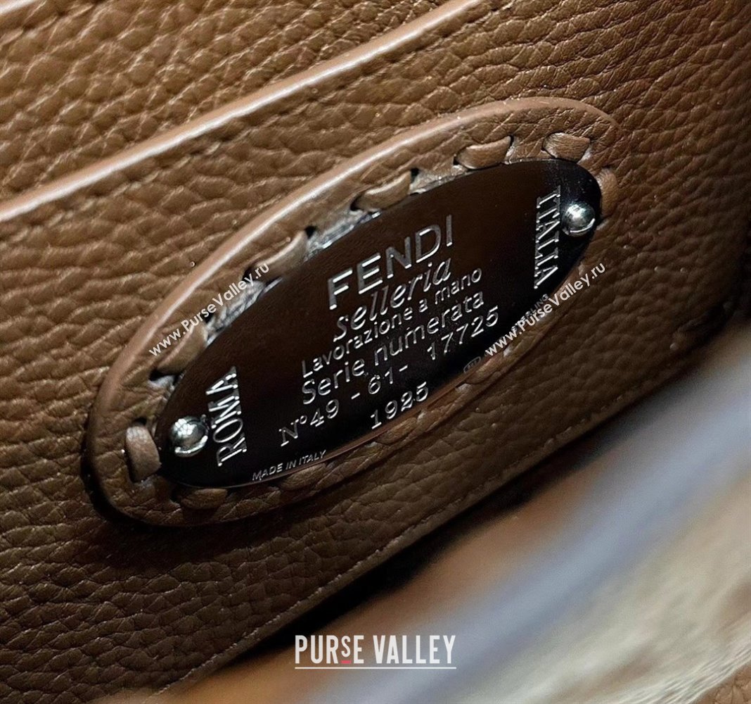 Fendi Peekaboo ISeeU Petite Bag in Grained Leather with Oversized topstitching Dark Brown 2025 80133 top (CL-250210011)