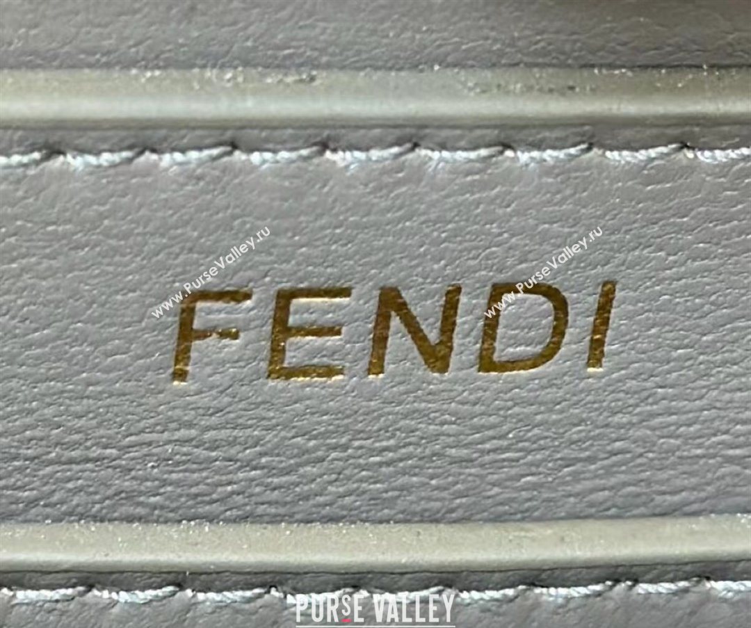 Fendi Peekaboo ISeeU Petite Bag in Crocodile Embossed Leather Dark Grey 2025 66805 (CL-250522012)