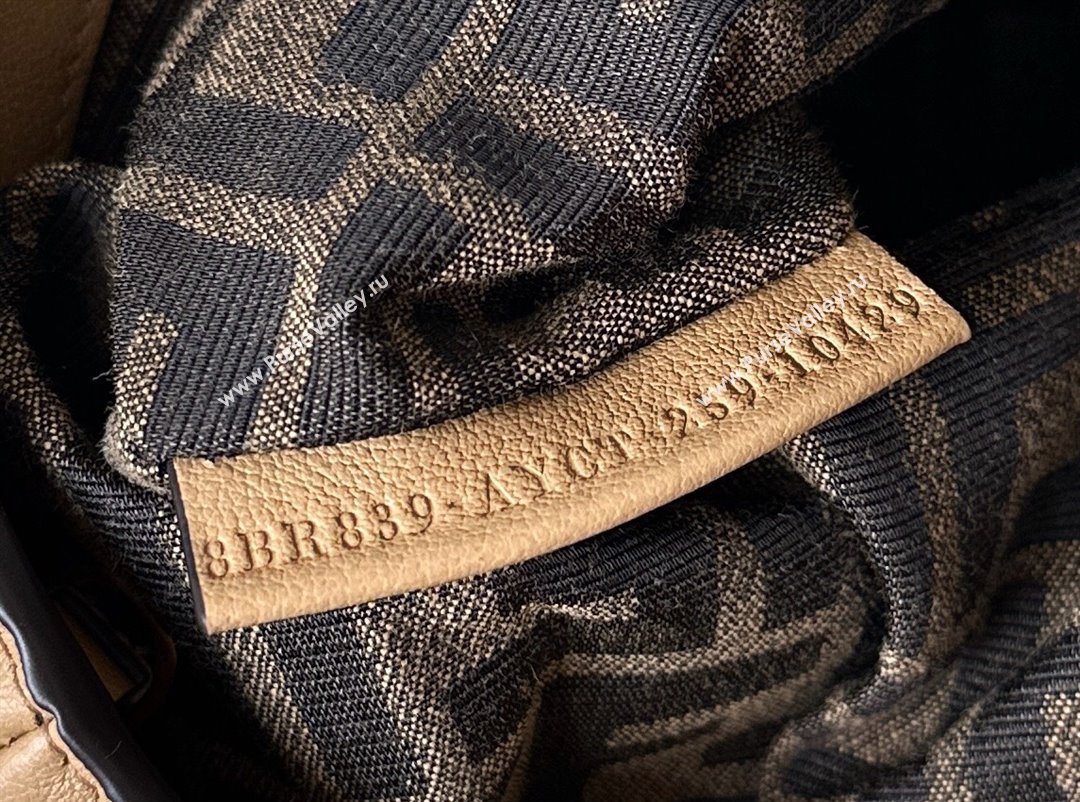 Fendi Spy Large Bag in Leather 80888L Beige 2025 (CL-250930015)